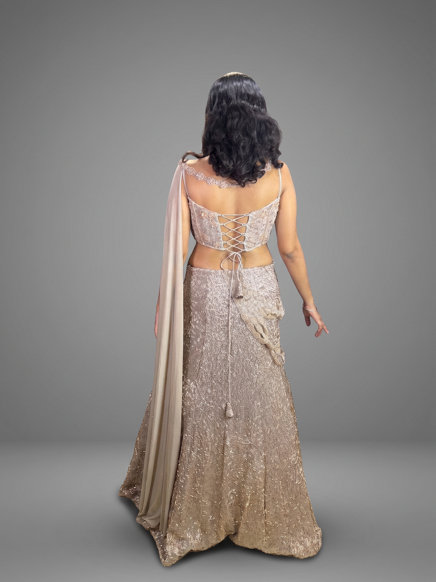 Champagne Silver Sequin Corset Lehenga With Georgette Drape — back view