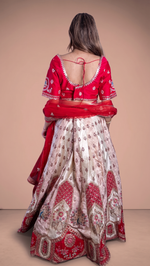 Ivory Shimmer Silk Kali Lehenga With Red Zari Blouse — view 2