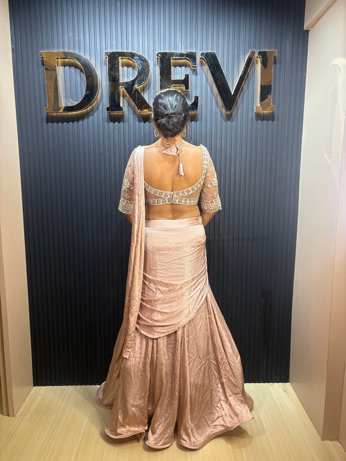 Champagne Shimmer Tissue Pre-Draped Mermaid Saree — back