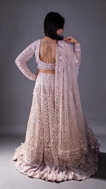 Blush Pink Net Lehenga With Zari and Cutdana Work — view 3