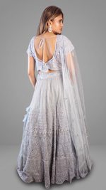 Silver-Grey Cutdana and Mirror Flared Lehenga Set — view 2