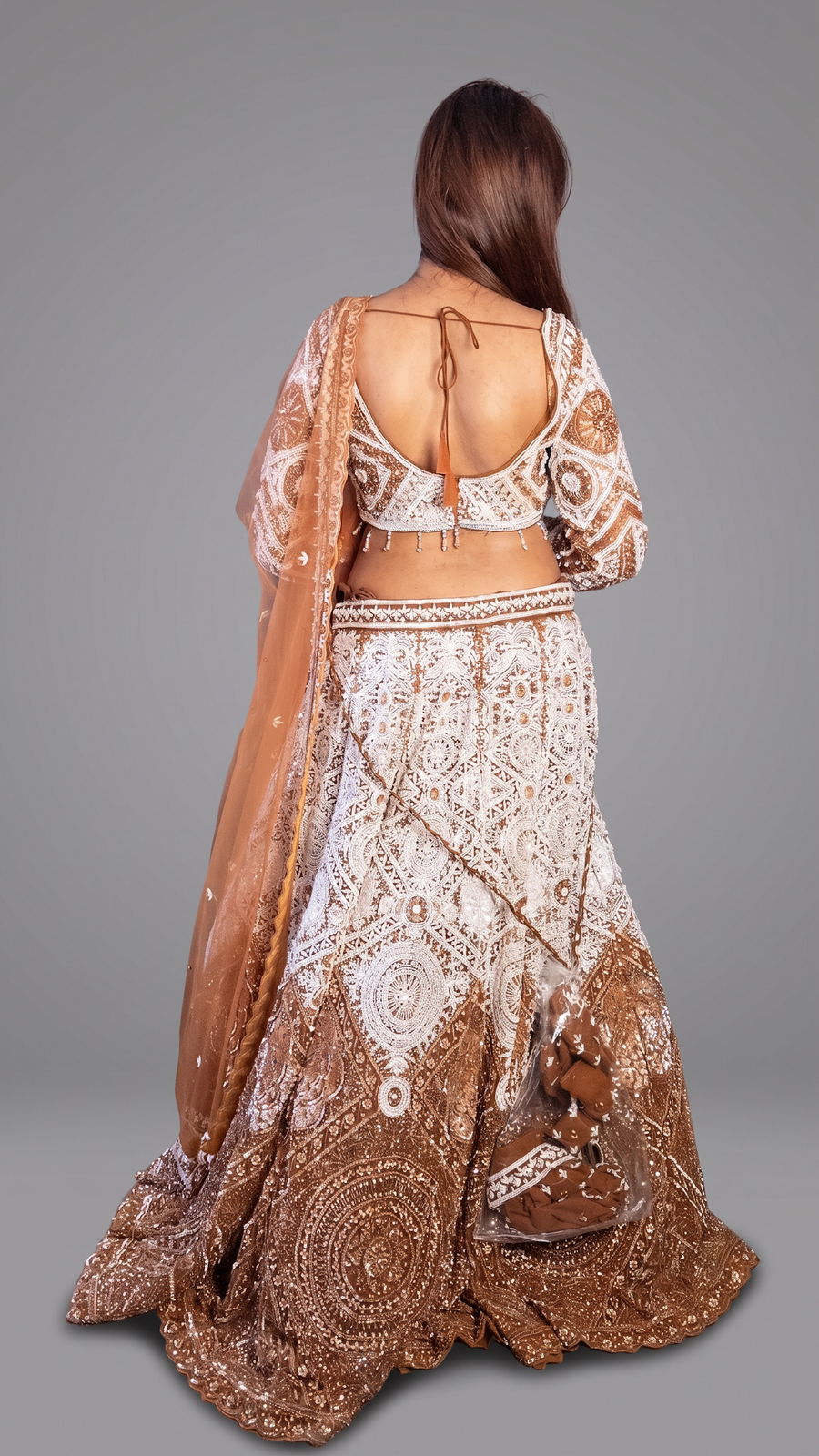 Bronze Ombre Net Lehenga With Sequin and Cutdana — back view