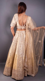 Golden Net Lehenga With Stone and Cutdana Work — view 2