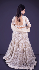 Ivory Net Flared Lehenga With Zari and Cutdana Florals — view 2