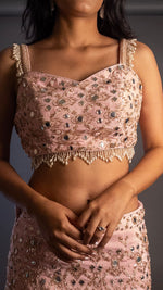 Baby Pink Crepe Mermaid Lehenga With Mirror Work — view 5