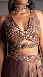 Brown Shimmer Tissue Kali Lehenga With Beaded Blouse — view 5