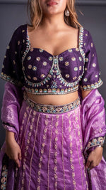 Lilac Tissue Lehenga With Dark Purple Raw Silk Blouse — view 5