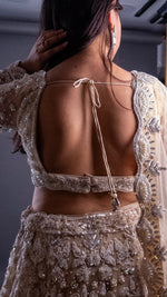 Ivory Net Flared Lehenga With Zari and Cutdana Florals — view 6