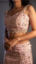Baby Pink Crepe Mermaid Lehenga With Mirror Work — view 6