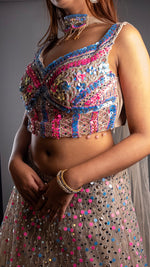 Beige Net Lehenga With Pink Sequin and Mirror Work — view 6