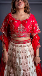 Ivory Shimmer Silk Kali Lehenga With Red Zari Blouse — view 6