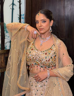 Champagne Net Lehenga With Stone and Mirror Work — view 2
