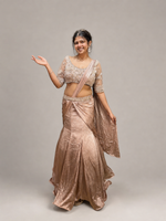 Champagne Shimmer Tissue Pre-Draped Mermaid Saree — view 1