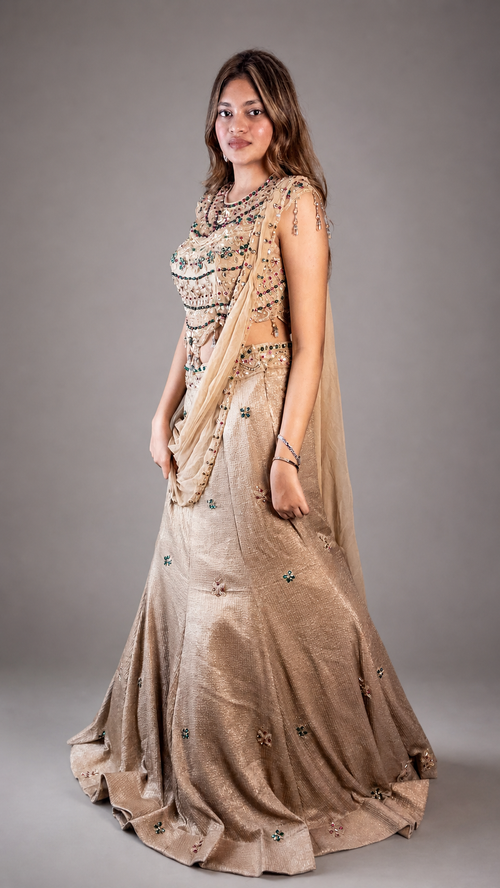Champagne Shimmer Tissue Fishtail Lehenga Saree — front