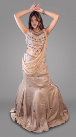Champagne Shimmer Tissue Fishtail Lehenga Saree — view 4