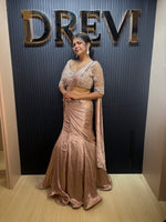 Champagne Shimmer Tissue Pre-Draped Mermaid Saree — view 4