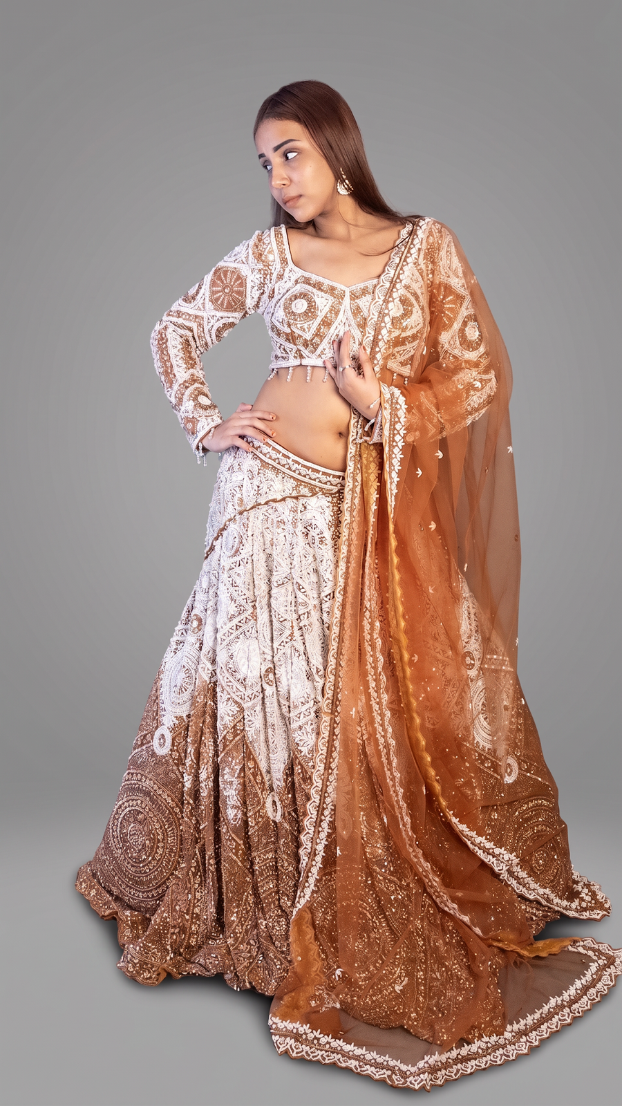 Bronze Ombre Net Lehenga With Sequin and Cutdana — fabric detail
