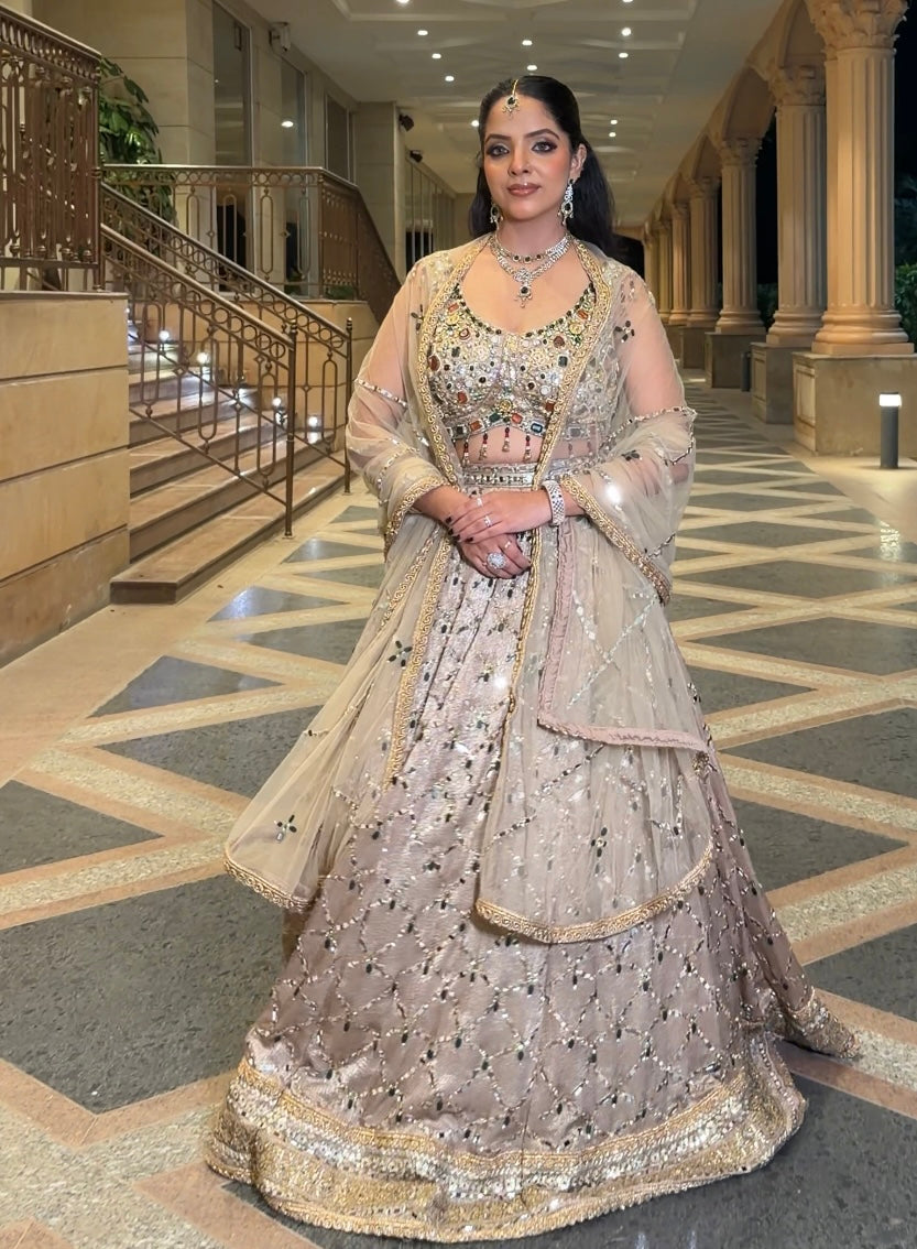Champagne Net Lehenga With Stone and Mirror Work — fabric detail